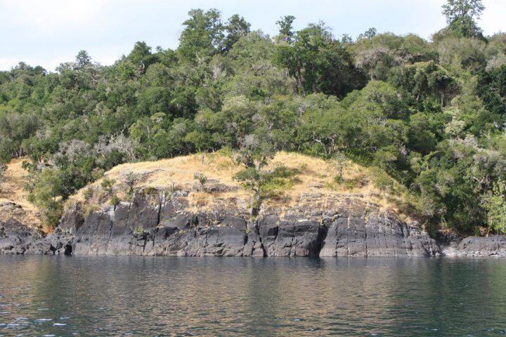 Lelikelen-ko: Isla Colcuma - Lago Ranco