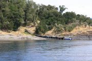 Isla Colcuma - Lago Ranco