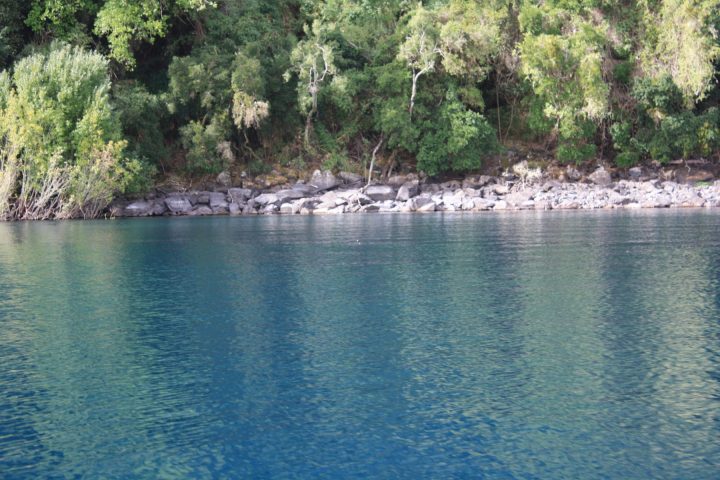 Isla Colcuma - Lago Ranco