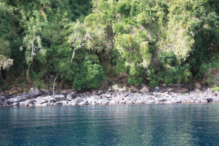 Isla Colcuma - Lago Ranco