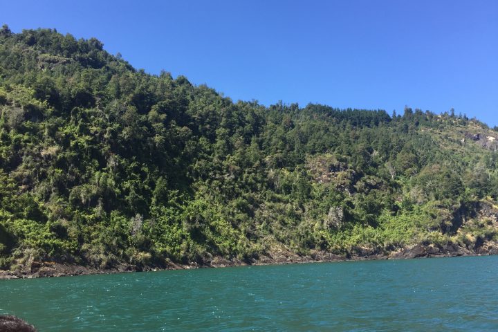 lelikelen-ko.cl - lago Maihue - contacto@lelikelen-ko.cl