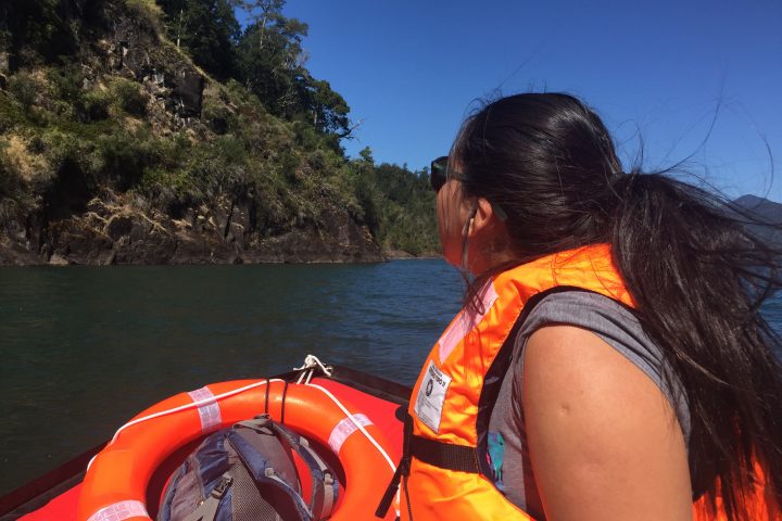 lelikelen-ko.cl - lago Maihue - contacto@lelikelen-ko.cl
